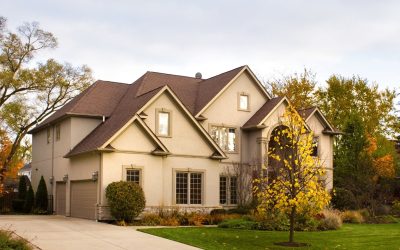 La Décoration Éco-Responsable : Mode Éphémère ou Révolution Durable ?