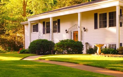 Architecte d’Intérieur : Les Secrets Inavoués des Espaces qui Respirent