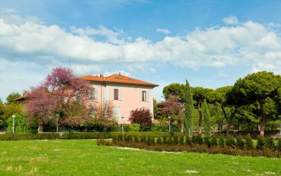 Les secrets du feng shui pour une meilleure vie amoureuse