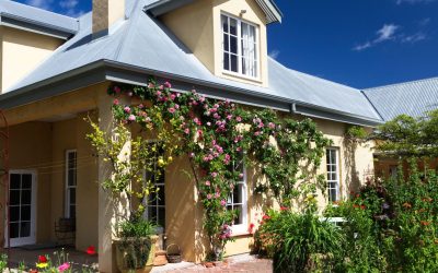 La bio-architecture intérieure : Quand la nature s’invite chez vous