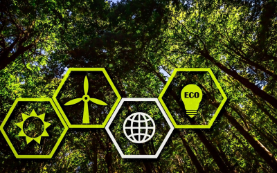 Maison écologique 2024 : innovations et chiffres clés de la transition