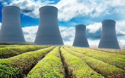 Autoconsommation solaire: une révolution énergétique gagne les toits français