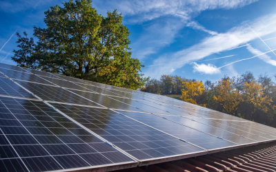 Panneaux solaires: 2024, guide complet pour une installation sans erreurs