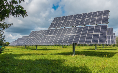 Transformer l’intention verte en puissance domestique, défi français 2024