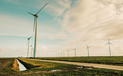 Rénover sa maison et produire son énergie, l’équation 2024 gagnante