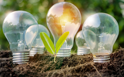 Maisons solaires : accélération fulgurante de la transition énergétique 2024